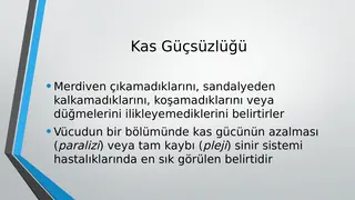 Muskelschwäche (Fallanalyse)